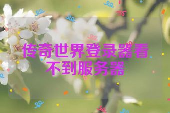 传奇世界登录器看不到服务器