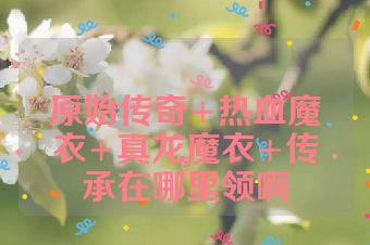 原始传奇+热血魔衣+真龙魔衣+传承在哪里领啊