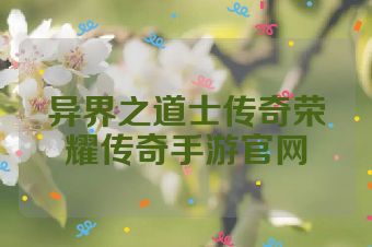 异界之道士传奇荣耀传奇手游官网