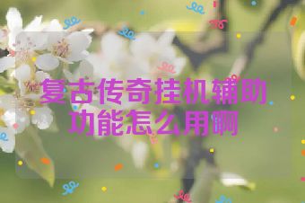 复古传奇挂机辅助功能怎么用啊