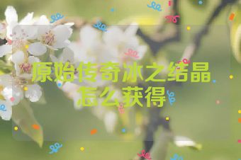 原始传奇冰之结晶怎么获得