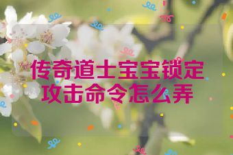 传奇道士宝宝锁定攻击命令怎么弄