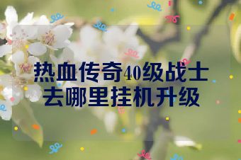 热血传奇40级战士去哪里挂机升级