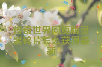 传奇世界网页版灵器碎片怎么获得最新