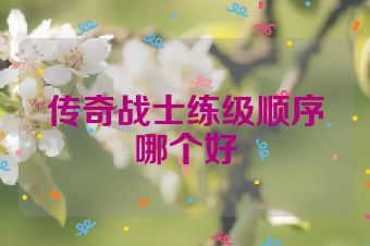 传奇战士练级顺序哪个好