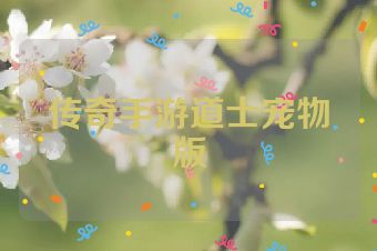 传奇手游道士宠物版