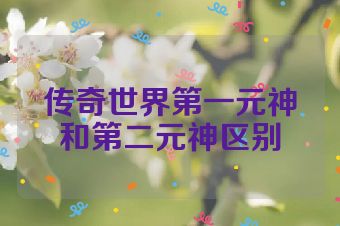 传奇世界第一元神和第二元神区别