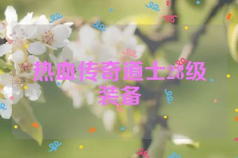 热血传奇道士28级装备