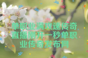单职业满攻速传奇直播刚开一秒单职业传奇发布网