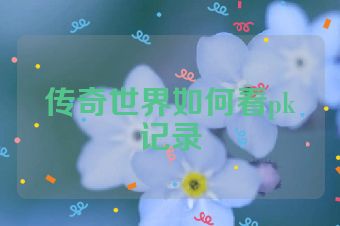 传奇世界如何看pk记录