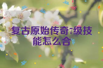 复古原始传奇7级技能怎么合
