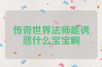 传奇世界法师能诱惑什么宝宝啊