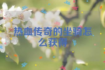 热血传奇的坐骑怎么获得