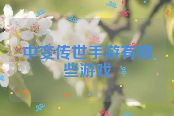 中变传世手游有哪些游戏