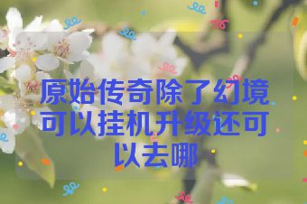 原始传奇除了幻境可以挂机升级还可以去哪