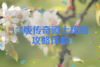170版传奇道士练级攻略详解