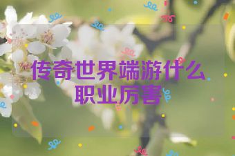 传奇世界端游什么职业厉害