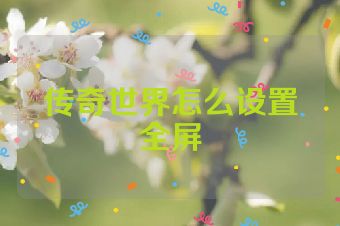 传奇世界怎么设置全屏