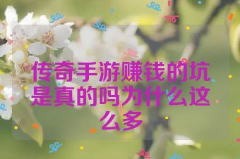 传奇手游赚钱的坑是真的吗为什么这么多