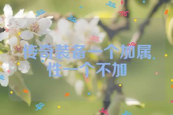 传奇装备一个加属性一个不加
