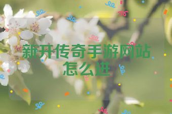 新开传奇手游网站怎么进