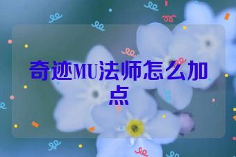奇迹MU法师怎么加点