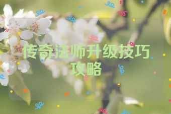 传奇法师升级技巧攻略