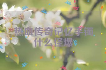 热血传奇记忆手镯什么怪爆