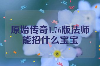 原始传奇1.76版法师能招什么宝宝