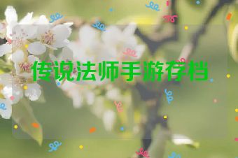 传说法师手游存档