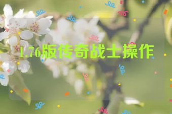 1.76版传奇战士操作