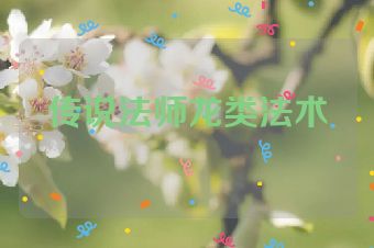 传说法师龙类法术