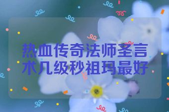 热血传奇法师圣言术几级秒祖玛最好