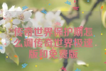 传奇世界保护期怎么调传奇世界极速版和免费版