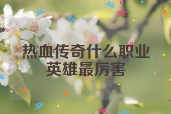 热血传奇什么职业英雄最厉害