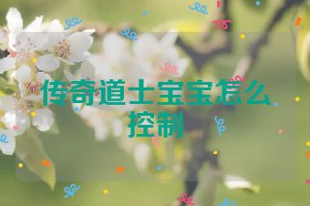 传奇道士宝宝怎么控制