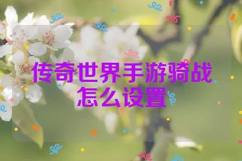传奇世界手游骑战怎么设置