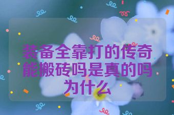 装备全靠打的传奇能搬砖吗是真的吗为什么