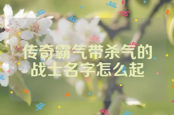 传奇霸气带杀气的战士名字怎么起