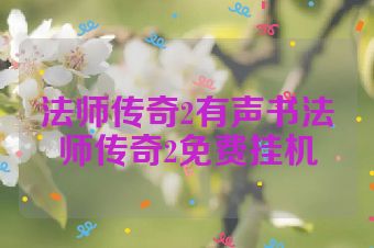 法师传奇2有声书法师传奇2免费挂机
