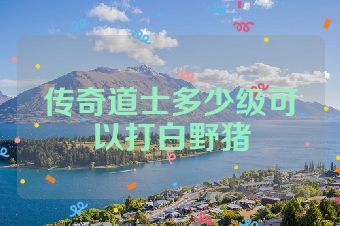 传奇道士多少级可以打白野猪