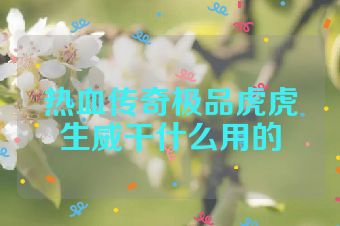 热血传奇极品虎虎生威干什么用的