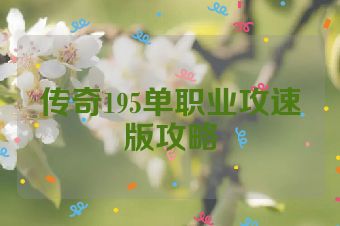 传奇195单职业攻速版攻略
