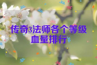 传奇3法师各个等级血量排行