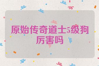 原始传奇道士5级狗厉害吗