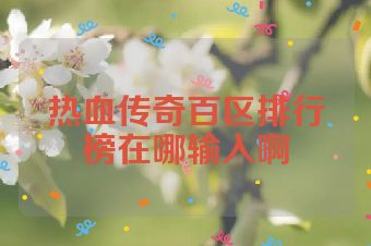 热血传奇百区排行榜在哪输入啊