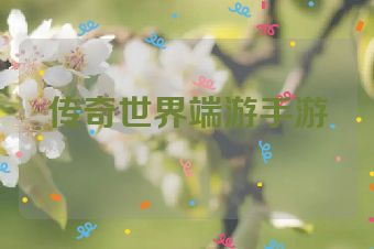 传奇世界端游手游