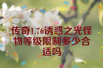 传奇1.76诱惑之光怪物等级限制多少合适吗