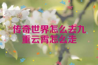 传奇世界怎么去九重云霄怎么走
