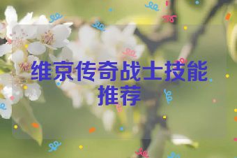 维京传奇战士技能推荐